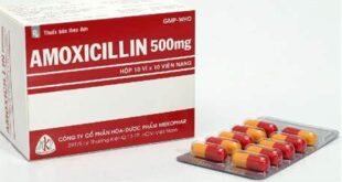 amoxicillin-pharmacistsite.com