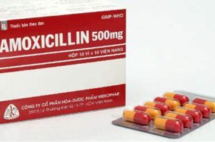 amoxicillin-pharmacistsite.com