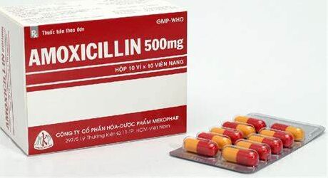 amoxicillin-pharmacistsite.com 