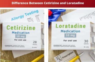 Cetirizine vs Loratadine