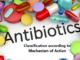 antibiotics - classification